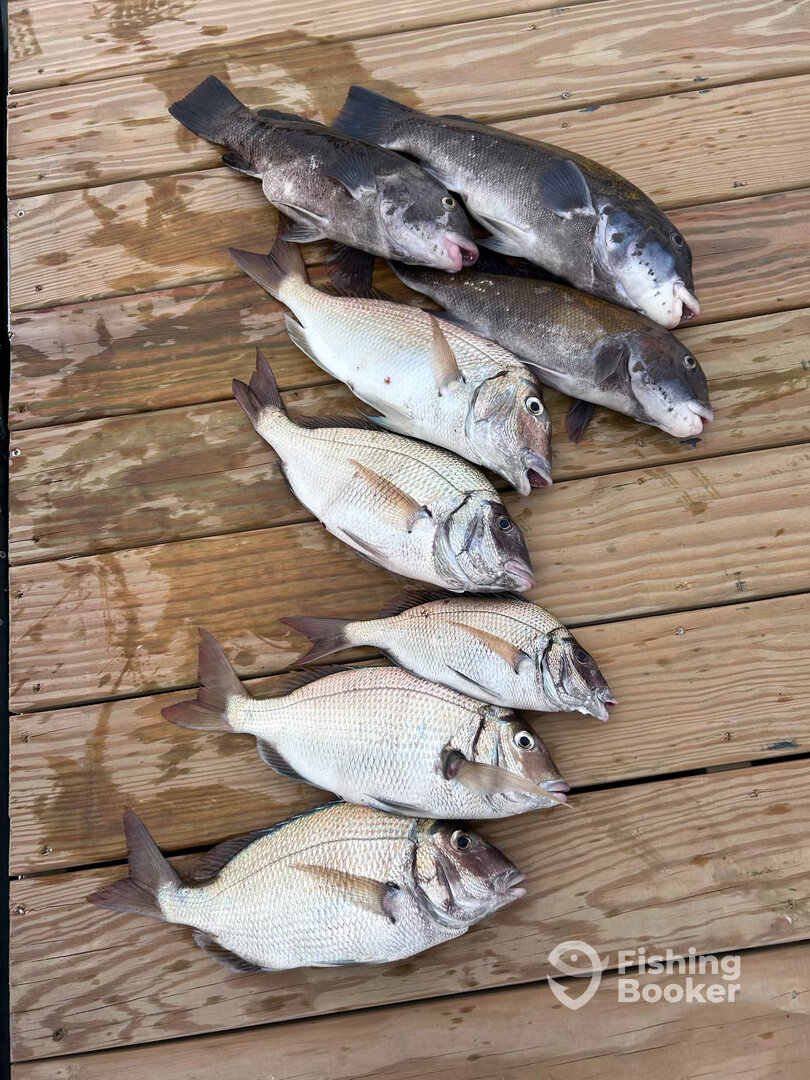 Barnstable Report Photo 0