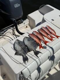 Look Whatโs Biting!!!