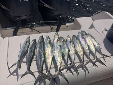 Pensacola Report Photo 2