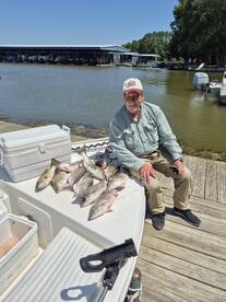 Willis Report Photo 1