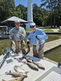 Willis Report Photo 2