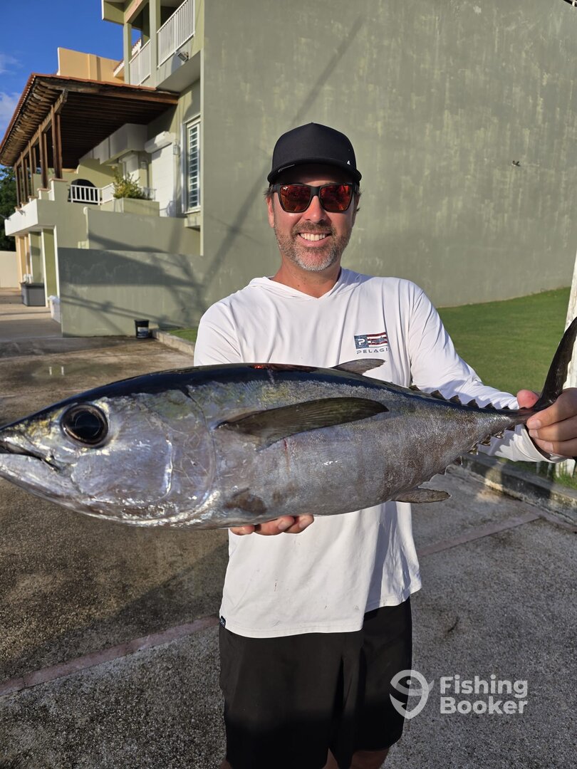 Humacao Report Photo 0