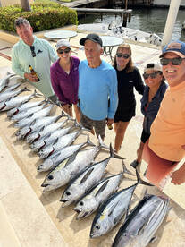 Humacao Report Photo 1
