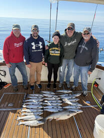 Limits of coho in May