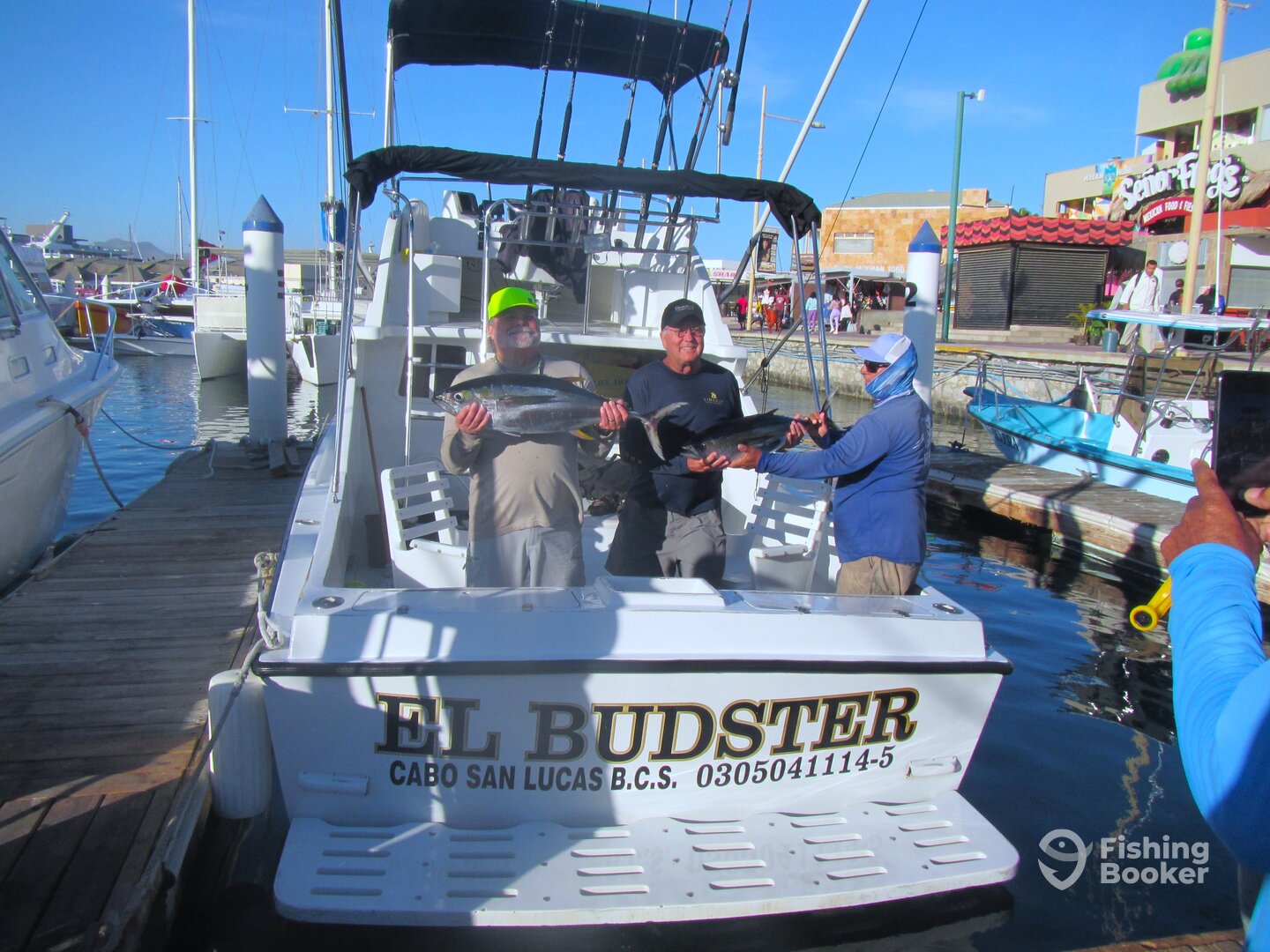 Cabo San Lucas Report Photo 0