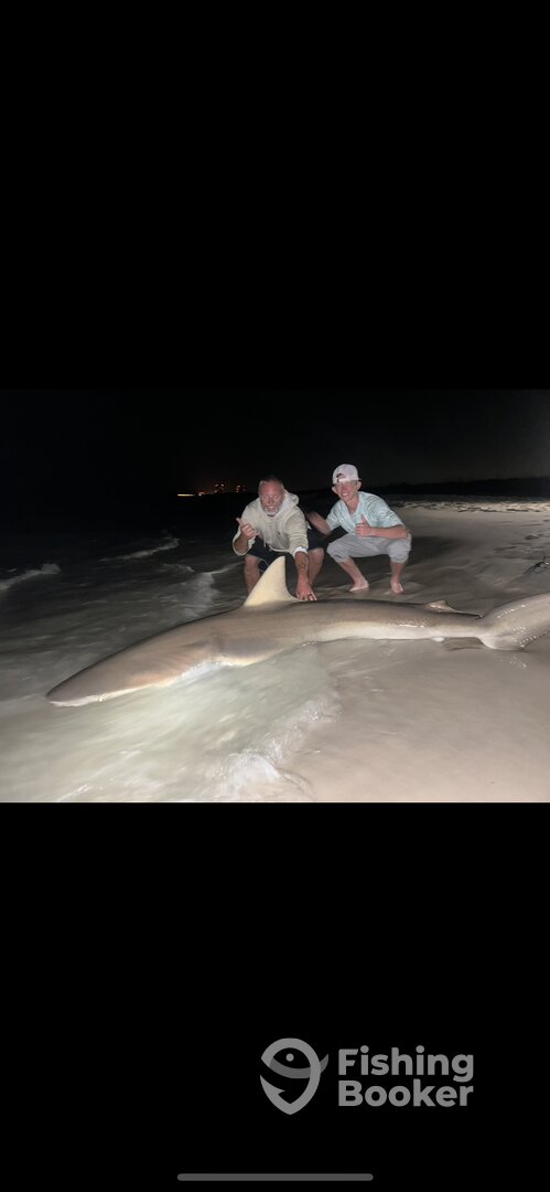 Destin Report Photo 0