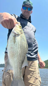 Branson Report Photo 1