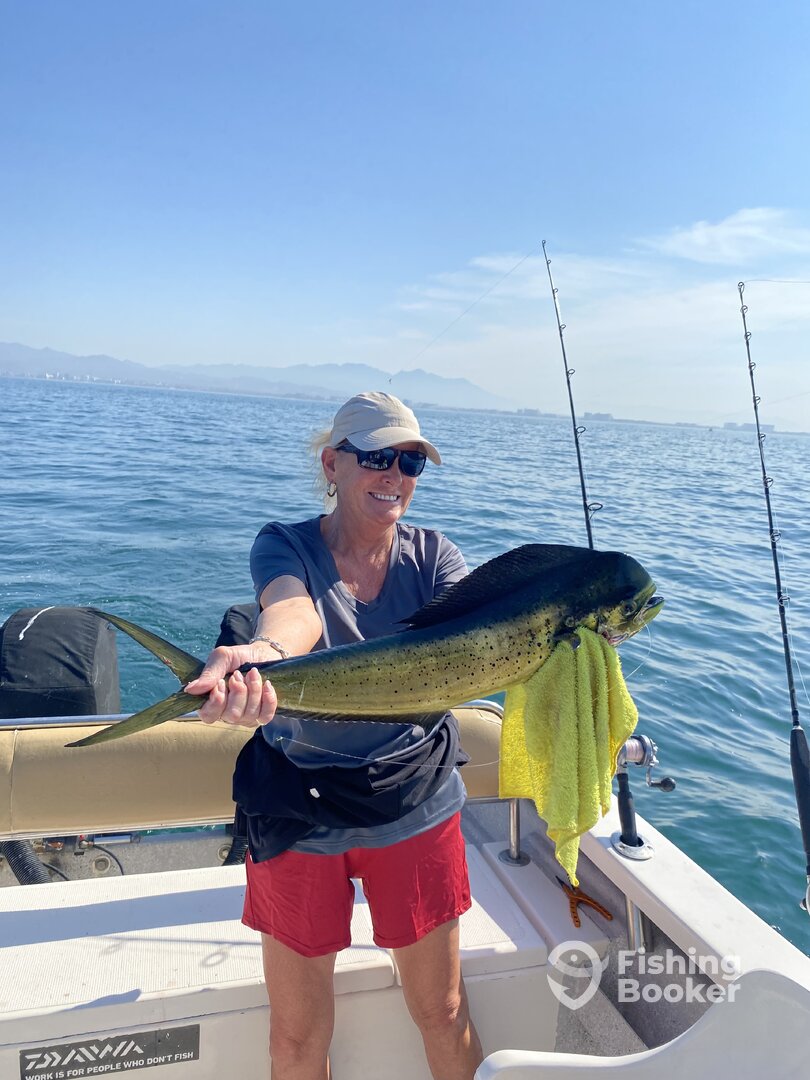 Puerto Vallarta Report Photo 0