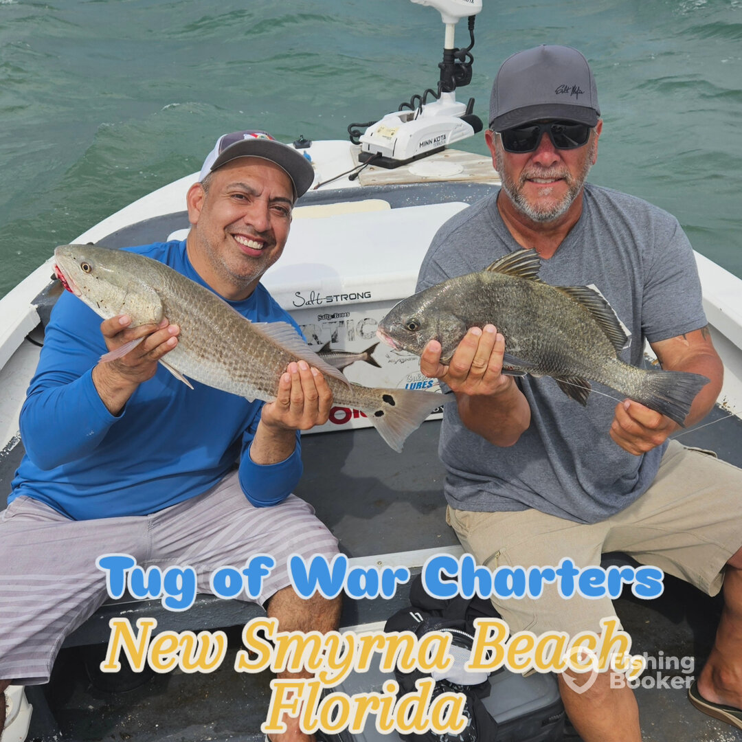 New Smyrna Beach Report Photo 0