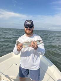 Gray trout , Red Drum , Croakers