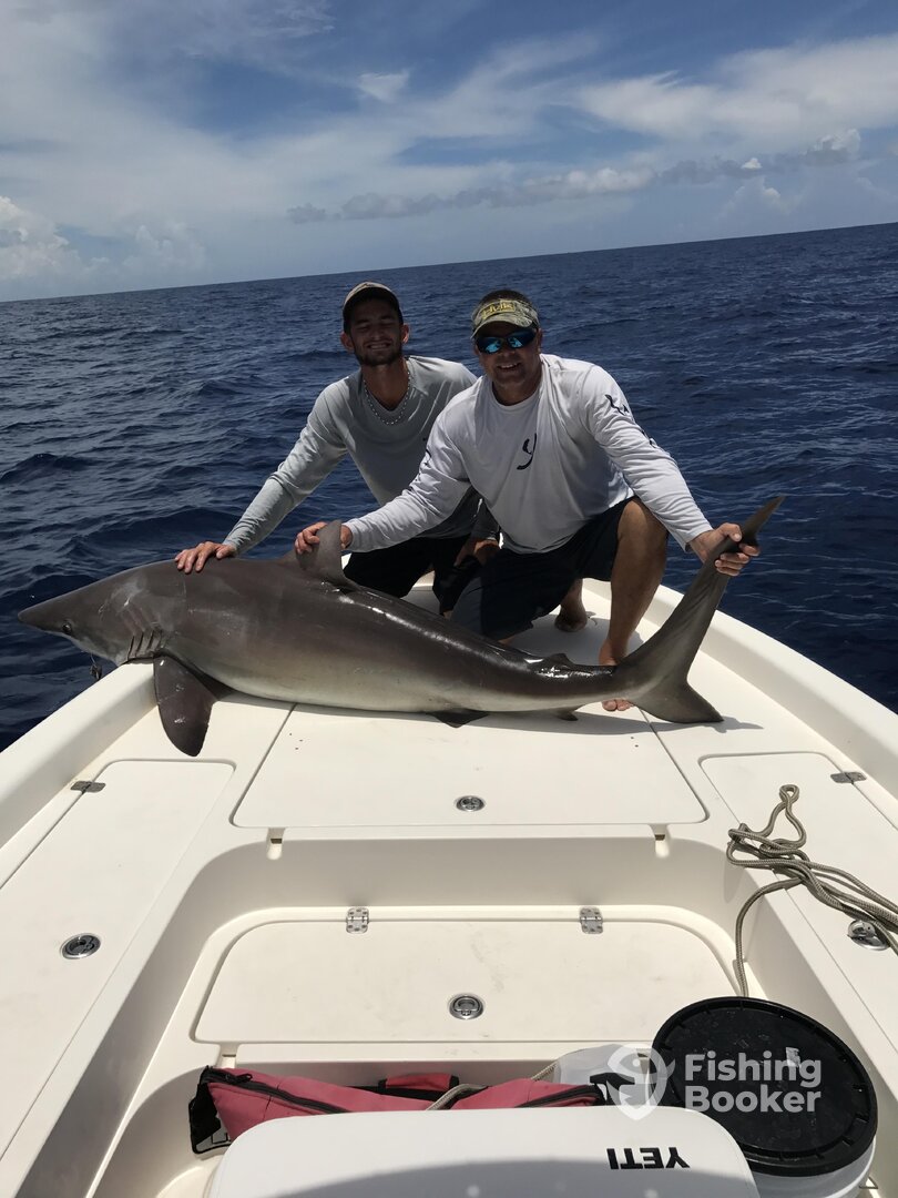 Clearwater Report Photo 0