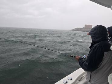 Virginia Beach Report Photo 2