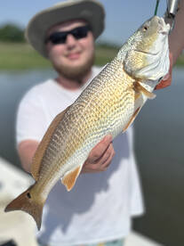 Savannah Report Photo 2