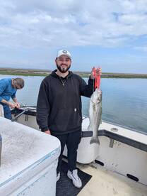 Striped Bass 