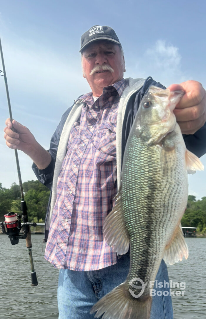 Branson Report Photo 0