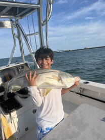 Snook bite is good  get em before season