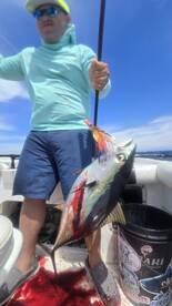 Cabo San Lucas Report Photo 1