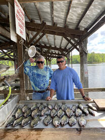 Arkansas Report Photo 1