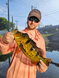 Finishing up the week strong