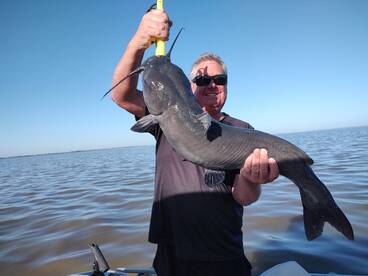 Wow. Same guy caught 4 Channel catfish o