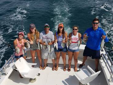 triggerfish