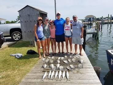 triggerfish and big Spanish half -day