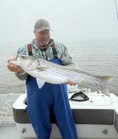 Unreal Striper Fishing Continues