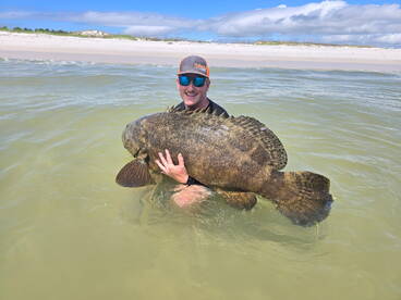 Giant grouper