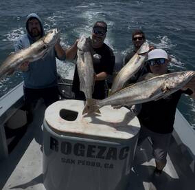 Excellent seabass fishing going on at Ca