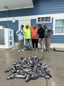 Bethany Beach Report Photo 1