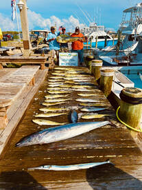 Mahi Mahem!!