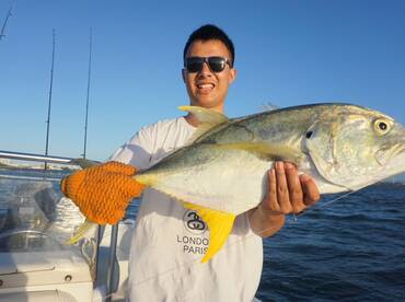 Great Yellow Tail, Jack Crevalle.  San Juan Bay, Puerto Rico Fishing Action.