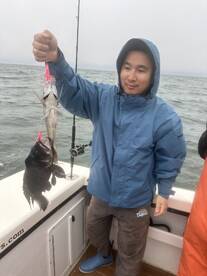 Black Sea Bass are officially in! 