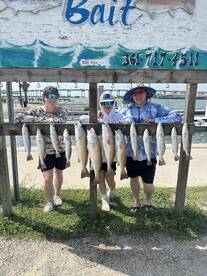 Trout and Redfish 