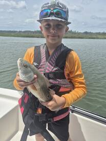Hilton Head Island Report Photo 1