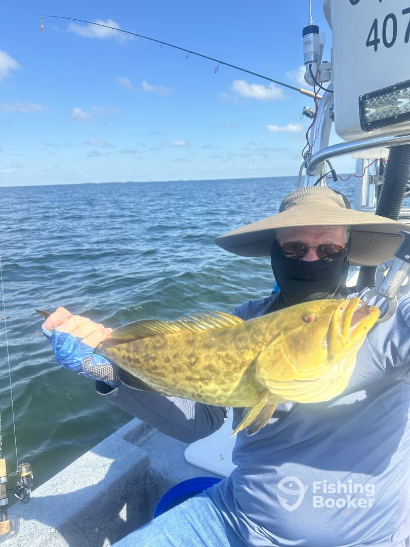 Citrus County Report Photo 0