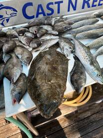 Citrus County Report Photo 1