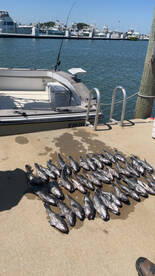 First trip of the season  sea bass