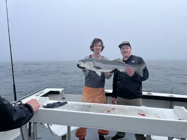 Narragansett Report Photo 1