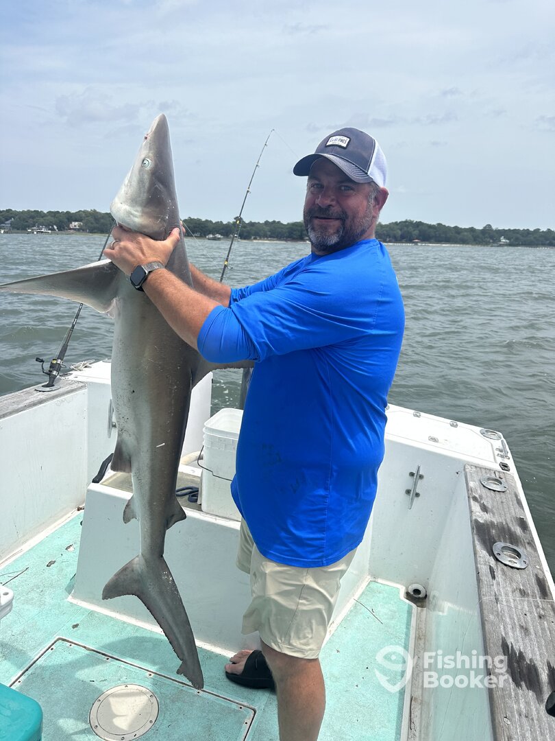 Hilton Head Island Report Photo 0