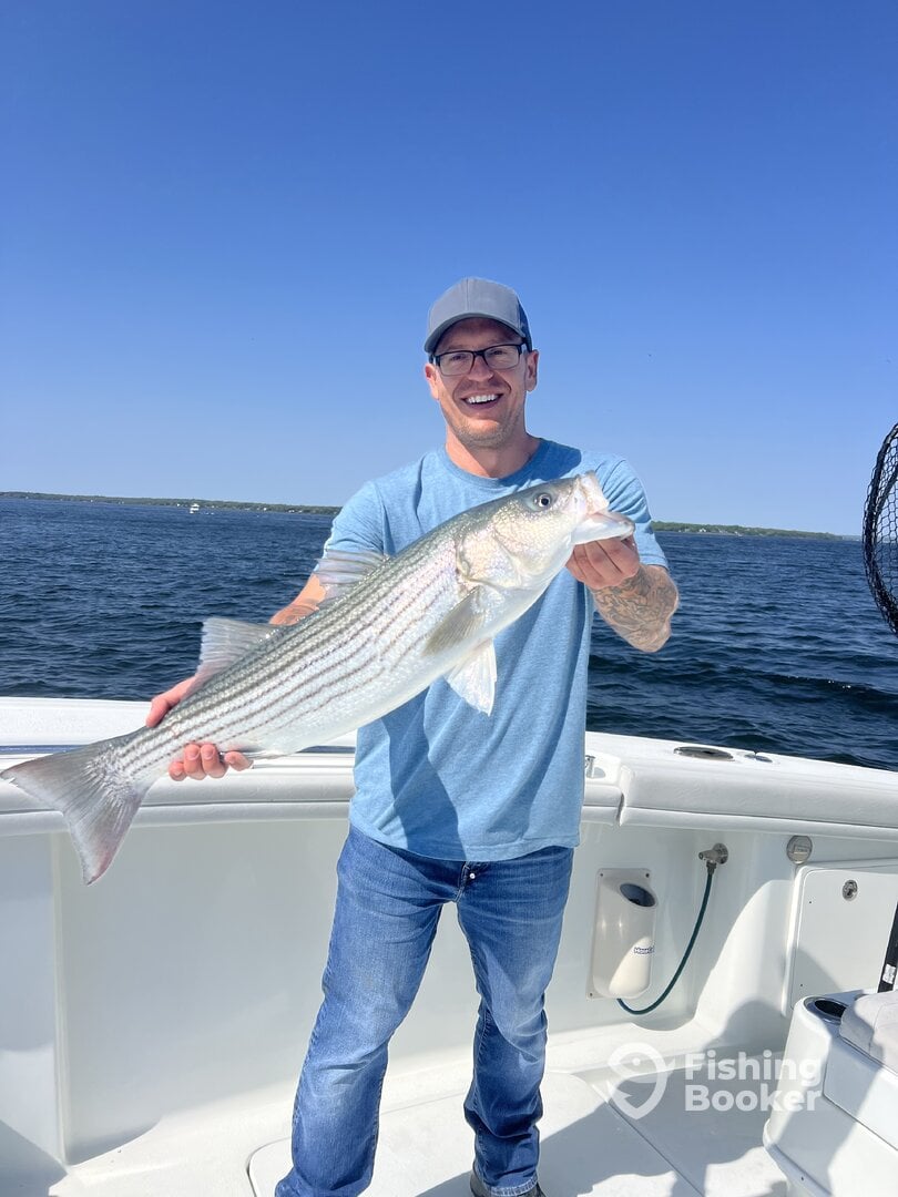 South Kingstown Report Photo 0