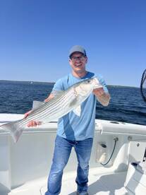 Bay Stripers 