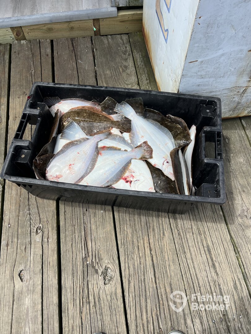 South Kingstown Report Photo 0