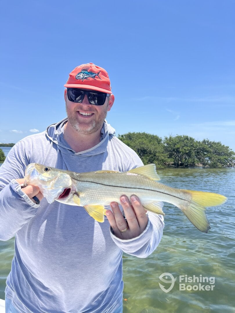 Tarpon Springs Report Photo 0