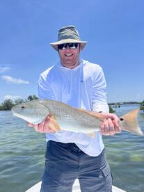 Tarpon Springs Report Photo 1