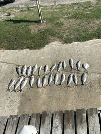 Wanchese Report Photo 2