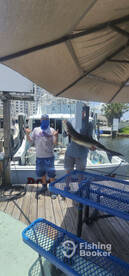 38 LB COBIA!!!