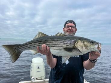 THE BITE HAS BEEN EPIC!!!