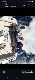 San Jose del Cabo Report Photo 2