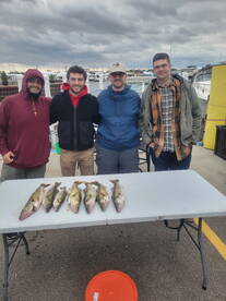St. Clair Shores Report Photo 2